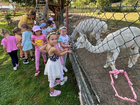 1. fotografie k článku