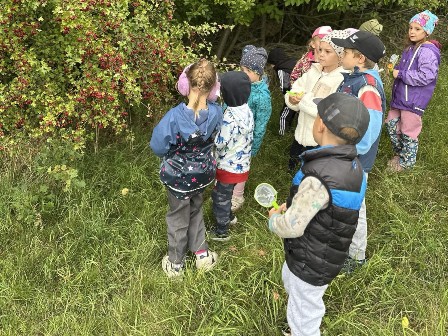 5. fotografie k článku