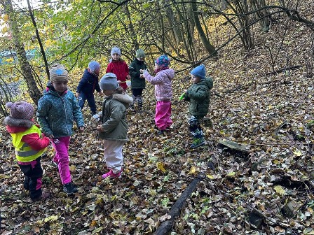 5. fotografie k článku