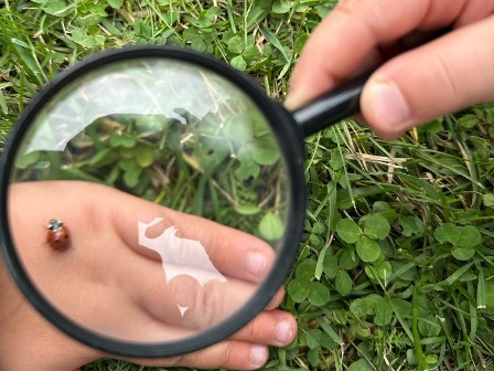 4. fotografie k článku